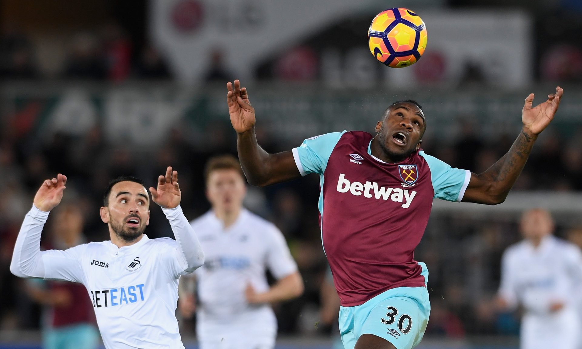 在炎热的夏 在炎热的夏